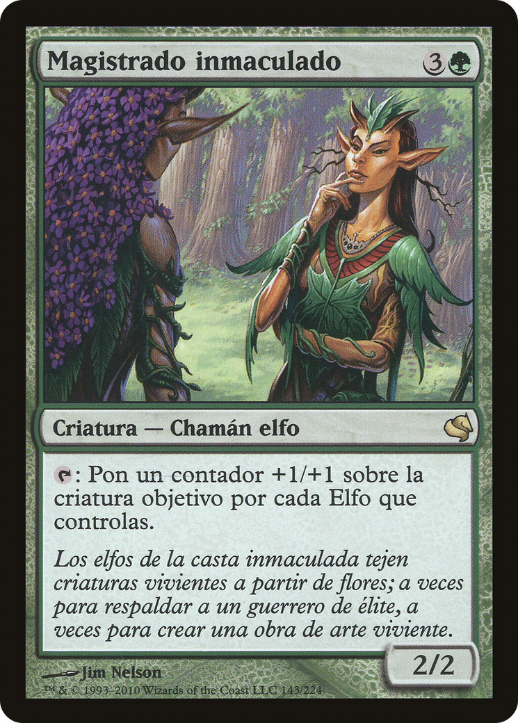 Image of Immaculate Magistrate (Spanish) - 