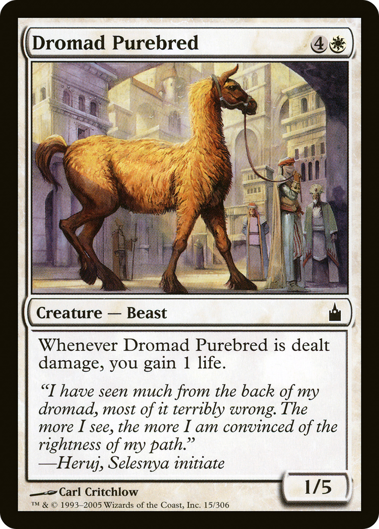 Image of Dromad Purebred (RAV-015) - Ravnica: City of Guilds