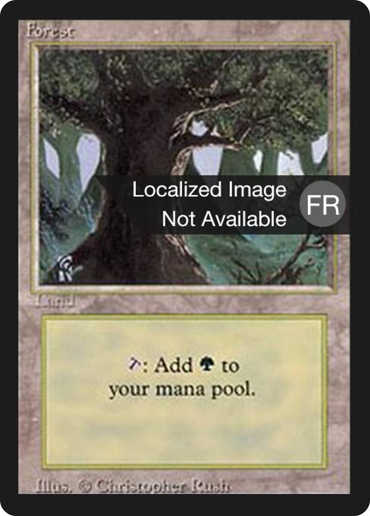 Image of Forest (A) (FBB-284) - Foreign Black Border