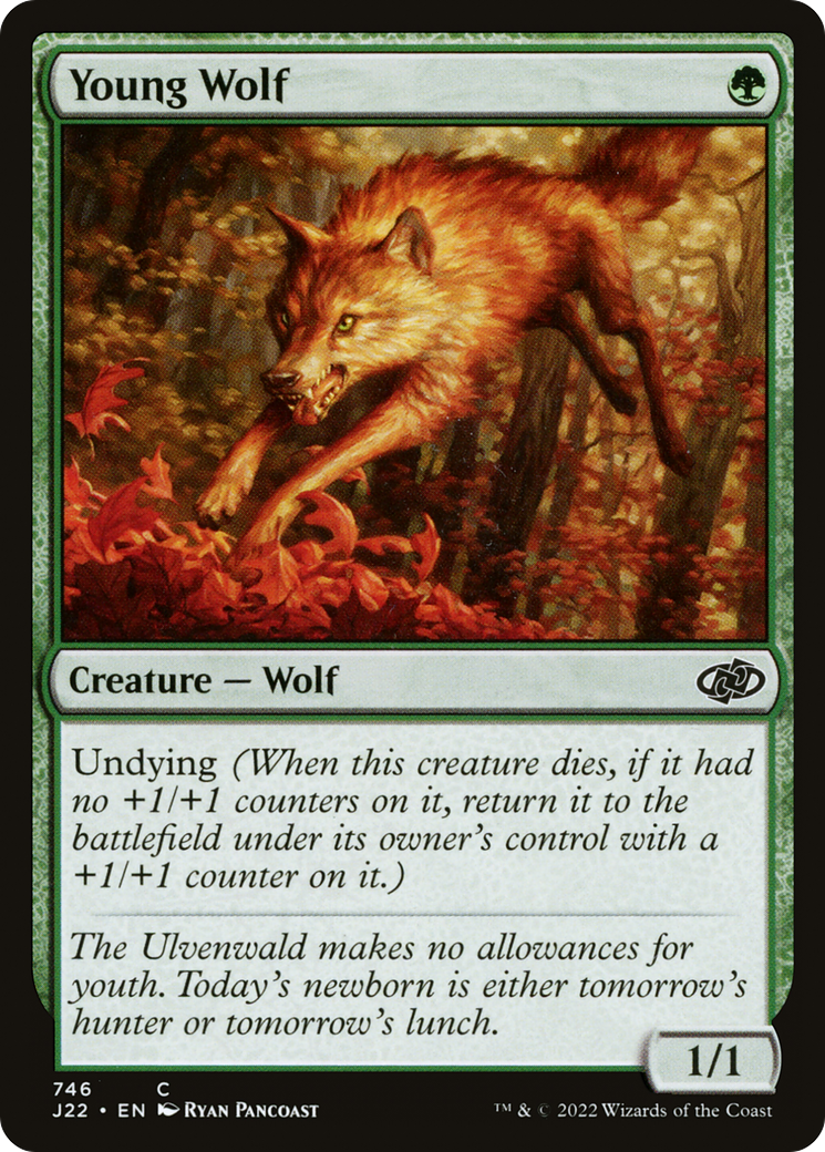 Image of Young Wolf (J22-746) - Jumpstart 2022