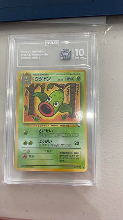 Trove of Collectibles 