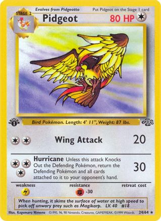 Image of Pidgeot (24) 024/64  - 1st Edition Jungle - Rare