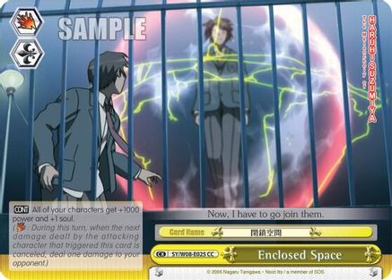 Image of Enclosed Space (SY/W08-E025 CC) - The Melancholy of Haruhi Suzumiya