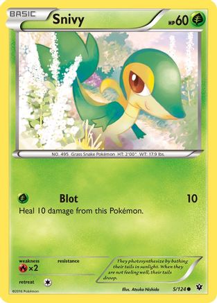 Image of Snivy 005/124  - Reverse Holofoil XY  Fates Collide - Common
