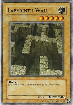 Image of Labyrinth Wall (SRL-055) - Spell Ruler Unlimited