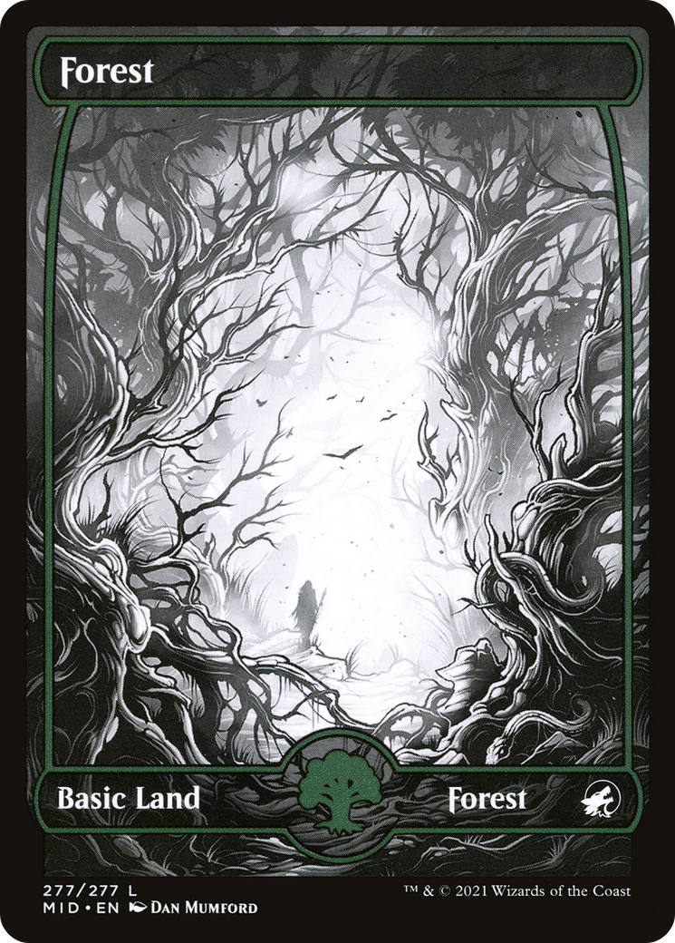 Image of Forest (277) (MID-277) - Innistrad: Midnight Hunt: (Full Art, Showcase) Foil