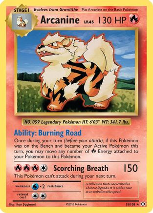 Image of Arcanine 018/108  XY  Evolutions - Rare