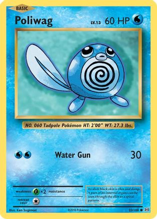 Image of Poliwag 023/108  XY  Evolutions - Common