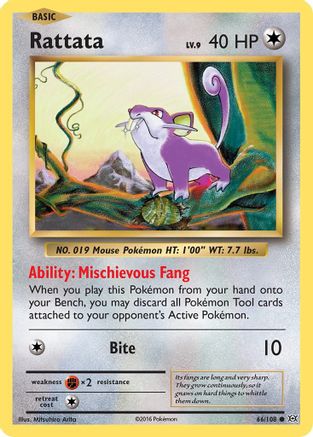 Image of Rattata 066/108  - Reverse Holofoil XY  Evolutions - Common