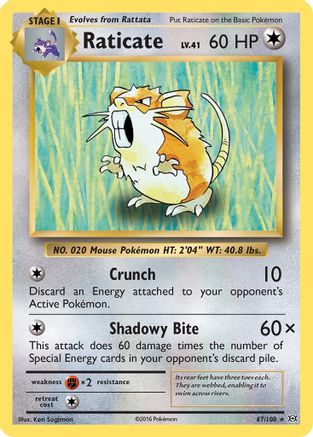 Image of Raticate 067/108  - Reverse Holofoil XY  Evolutions - Rare