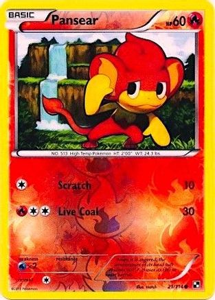 Image of Pansear 021/114  - Reverse Holofoil Miscellaneous Cards & Products - Promo