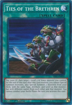 Image of Ties of the Brethren (SR05-EN030) - Structure Deck: Wave of Light 1st Edition