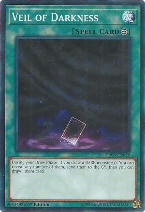 Image of Veil of Darkness (SR06-EN029) - Structure Deck: Lair of Darkness 1st Edition