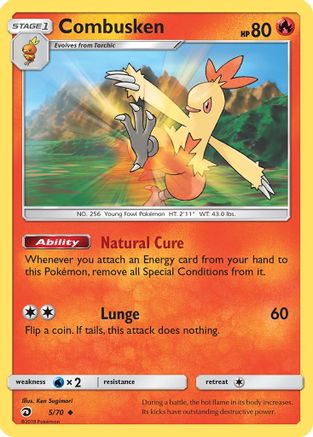 Image of Combusken 005/70  Dragon Majesty - Uncommon