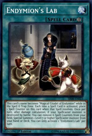 Image of Endymion's Lab (SR08-EN023) - Structure Deck: Order of the Spellcasters 1st Edition