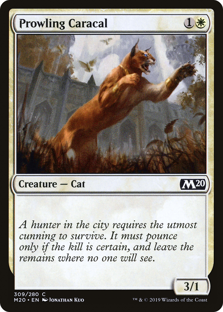 Image of Prowling Caracal (M20-309) - Core Set 2020