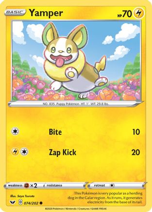 Image of Yamper (074) 074/202  - Reverse Holofoil SWSH01 Sword & Shield Base Set - Common