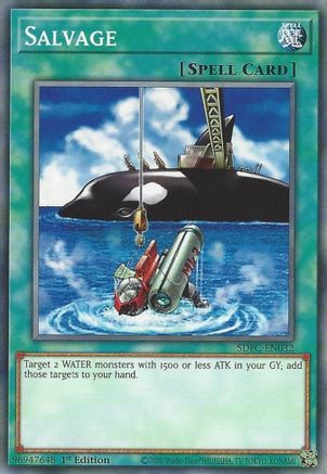 Image of Salvage (SDFC-EN032) - Structure Deck: Freezing Chains 1st Edition