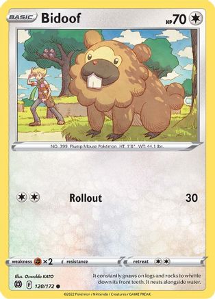 Image of Bidoof 120/172  SWSH09 Brilliant Stars - Common