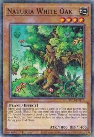 Image of Naturia White Oak (Duel Terminal) (HAC1-EN115) - Hidden Arsenal: Chapter 1 1st Edition