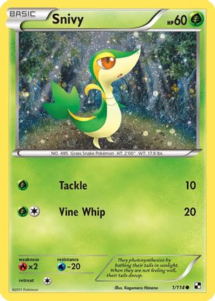 Image of Snivy 001/114  - Holofoil Miscellaneous Cards & Products - Promo