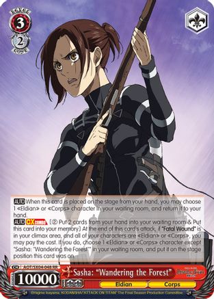Image of Sasha: 
