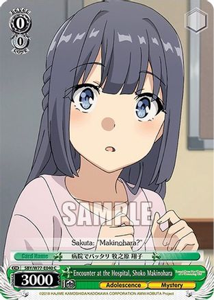 Image of Encounter at the Hospital, Shoko Makinohara (SBY/W77-E040 C) - Rascal Does Not Dream of a Dreaming Girl