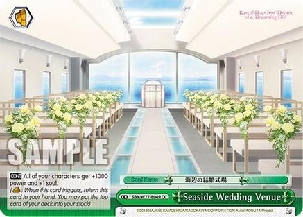 Image of Seaside Wedding Venue (SBY/W77-E049 CC) - Rascal Does Not Dream of a Dreaming Girl