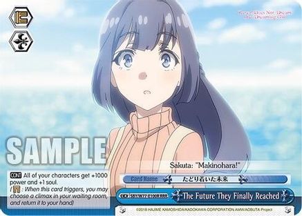 Image of The Future They Finally Reached (RRR) (SBY/W77-E100R RRR) - Rascal Does Not Dream of a Dreaming Girl