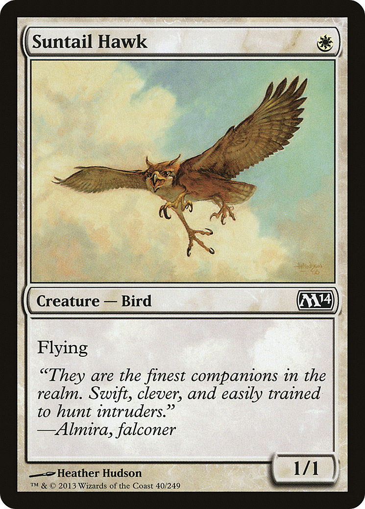 Image of Suntail Hawk (M14-040) - Magic 2014 Foil