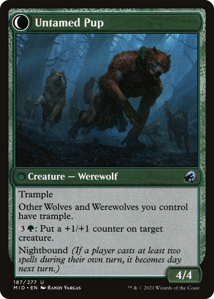 Image of Hound Tamer (MID-187) - Innistrad: Midnight Hunt: (Double Faced Transform) Foil