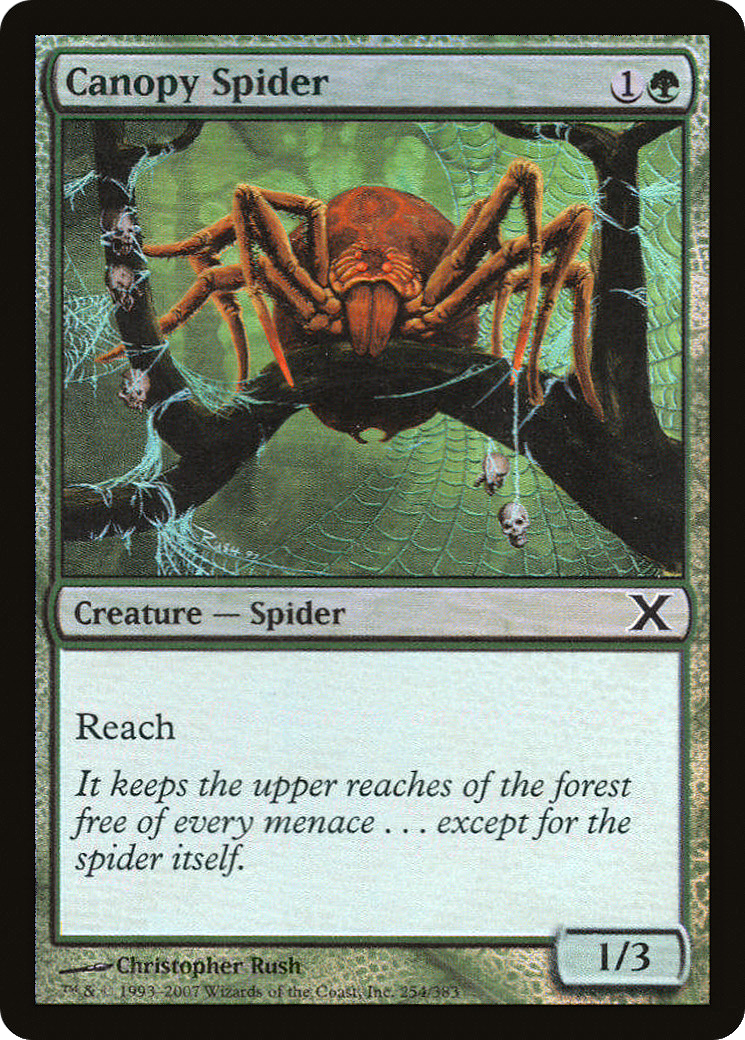 Image of Canopy Spider (10E-254★) - Tenth Edition Foil