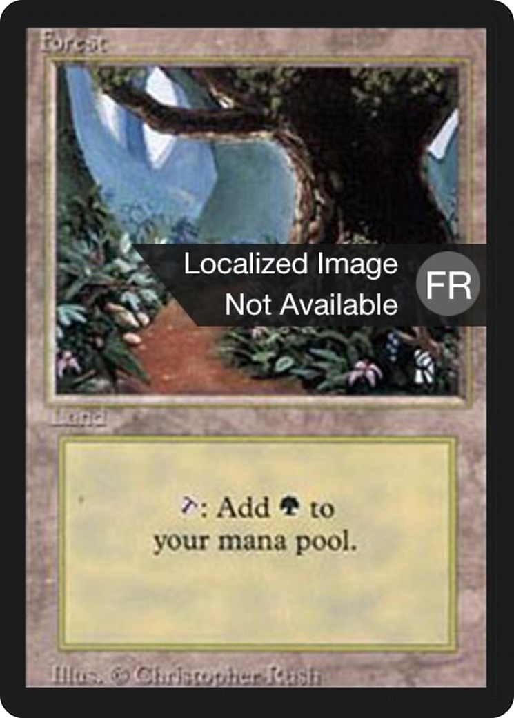 Image of Forest (B) (FBB-286) - Foreign Black Border
