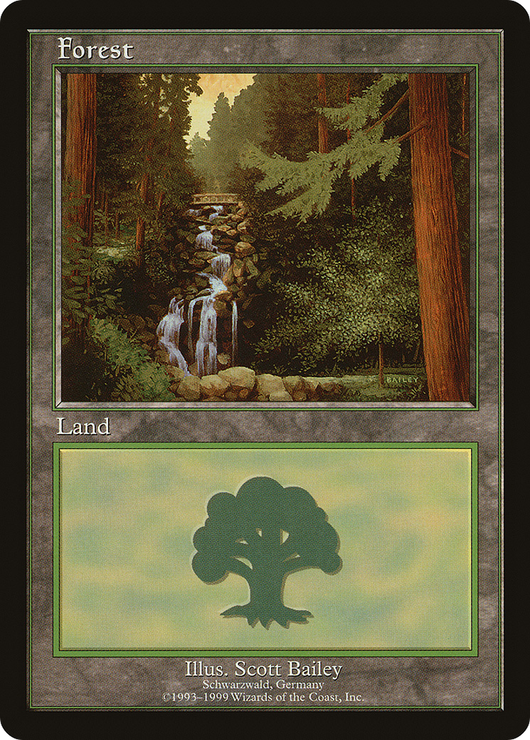Image of Forest - Schwarzwald (EURO-001) - European Land Program