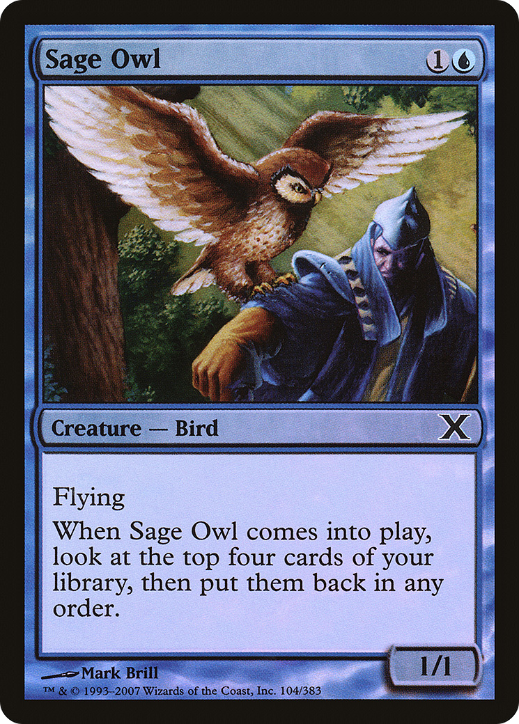 Image of Sage Owl (10E-104★) - Tenth Edition Foil