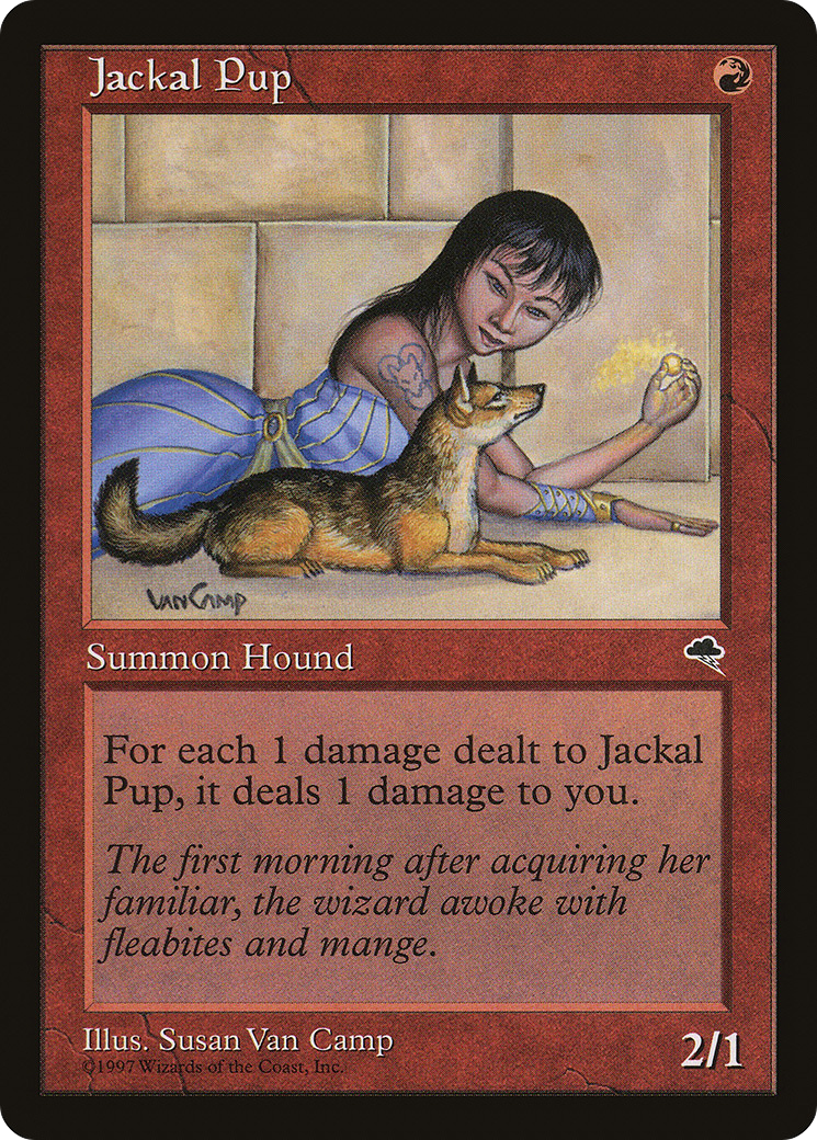 Image of Jackal Pup (TMP-183) - Tempest