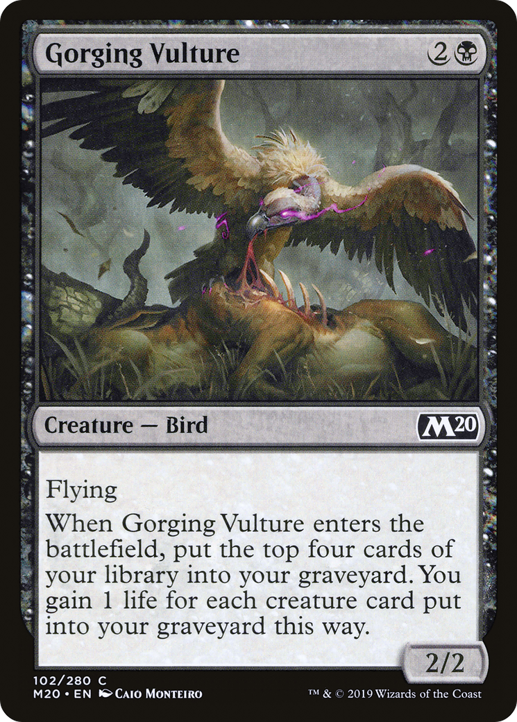 Image of Gorging Vulture (M20-102) - Core Set 2020 Foil