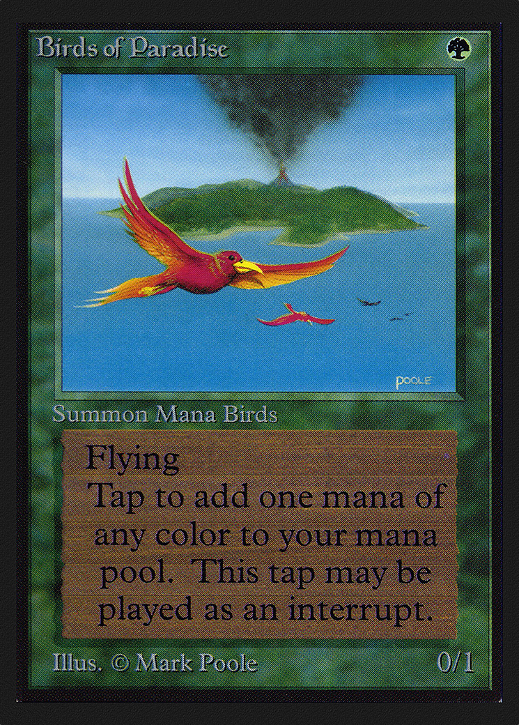 Image of Birds of Paradise (IE) (IED-) - Intl. Collectors' Edition