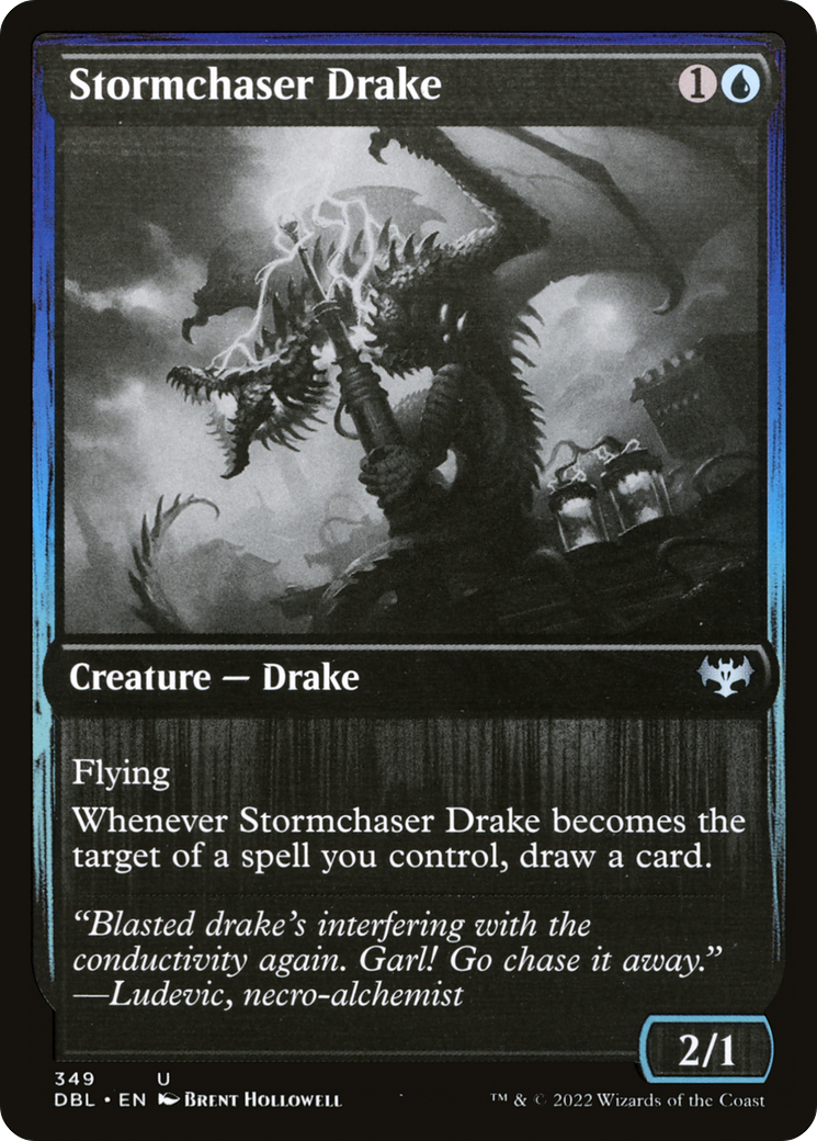 Image of Stormchaser Drake (DBL-349) - Innistrad: Double Feature