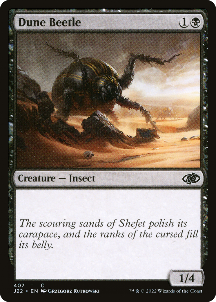 Image of Dune Beetle (J22-407) - Jumpstart 2022