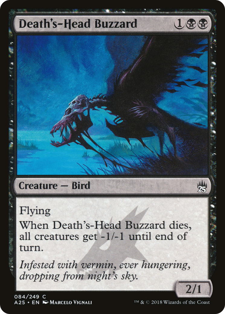 Image of Death's-Head Buzzard (A25-084) - Masters 25