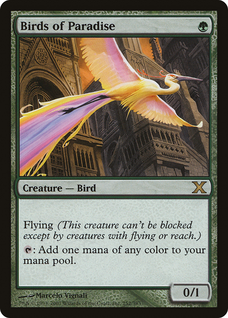 Image of Birds of Paradise (10E-252) - Tenth Edition