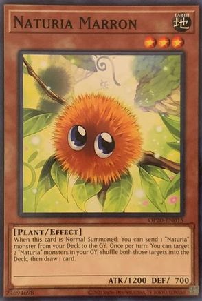 Image of Naturia Marron (OP20-EN015) - OTS Tournament Pack 20 Unlimited