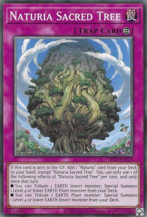 Image of Naturia Sacred Tree (OP20-EN025) - OTS Tournament Pack 20 Unlimited