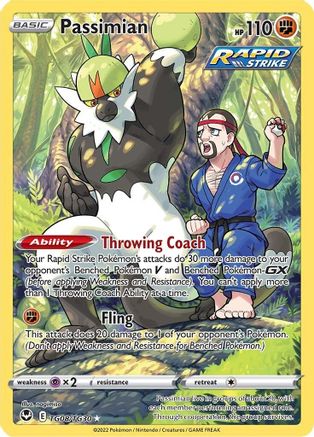 Image of Passimian TG08/TG30  - Holofoil SWSH12 Silver Tempest Trainer Gallery - Ultra Rare