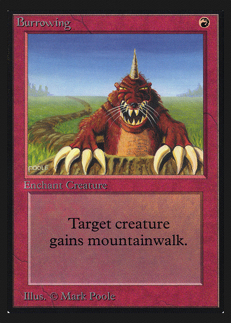 Image of Burrowing (CE) (CED-) - Collectors' Edition