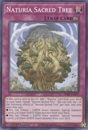 Image of Naturia Sacred Tree (SDBT-EN037) - Structure Deck: Beware of Traptrix 1st Edition