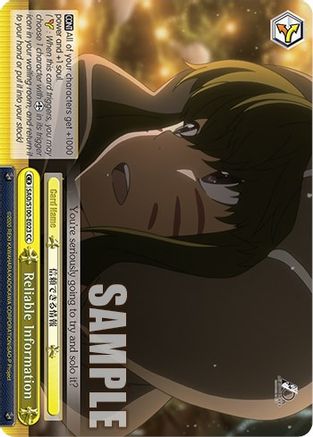 Image of Reliable Information (SAO/S100-E023 CC) - Sword Art Online Animation 10th Anniversary
