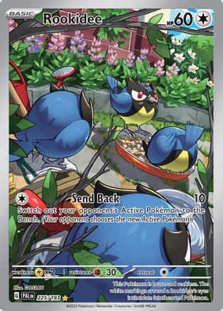 Image of Rookidee 225/193  - Holofoil SV02 Paldea Evolved - Illustration Rare