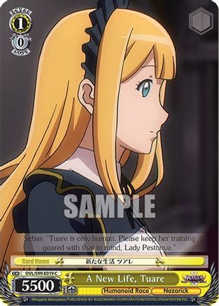 Image of A New Life, Tuare (OVL/S99-E019 C) - Nazarick: Tomb of the Undead Vol.2